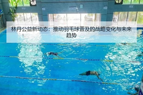 林丹公益新动态：推动羽毛球普及的战略变化与未来趋势